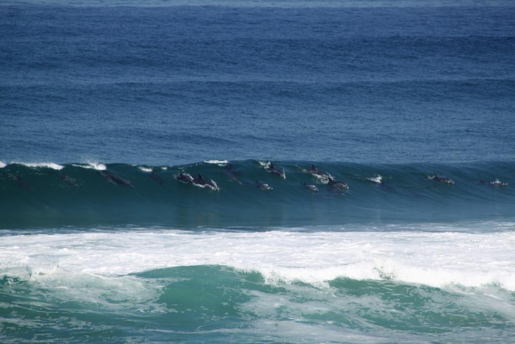 Murphys Port Elizabeth Esterno foto