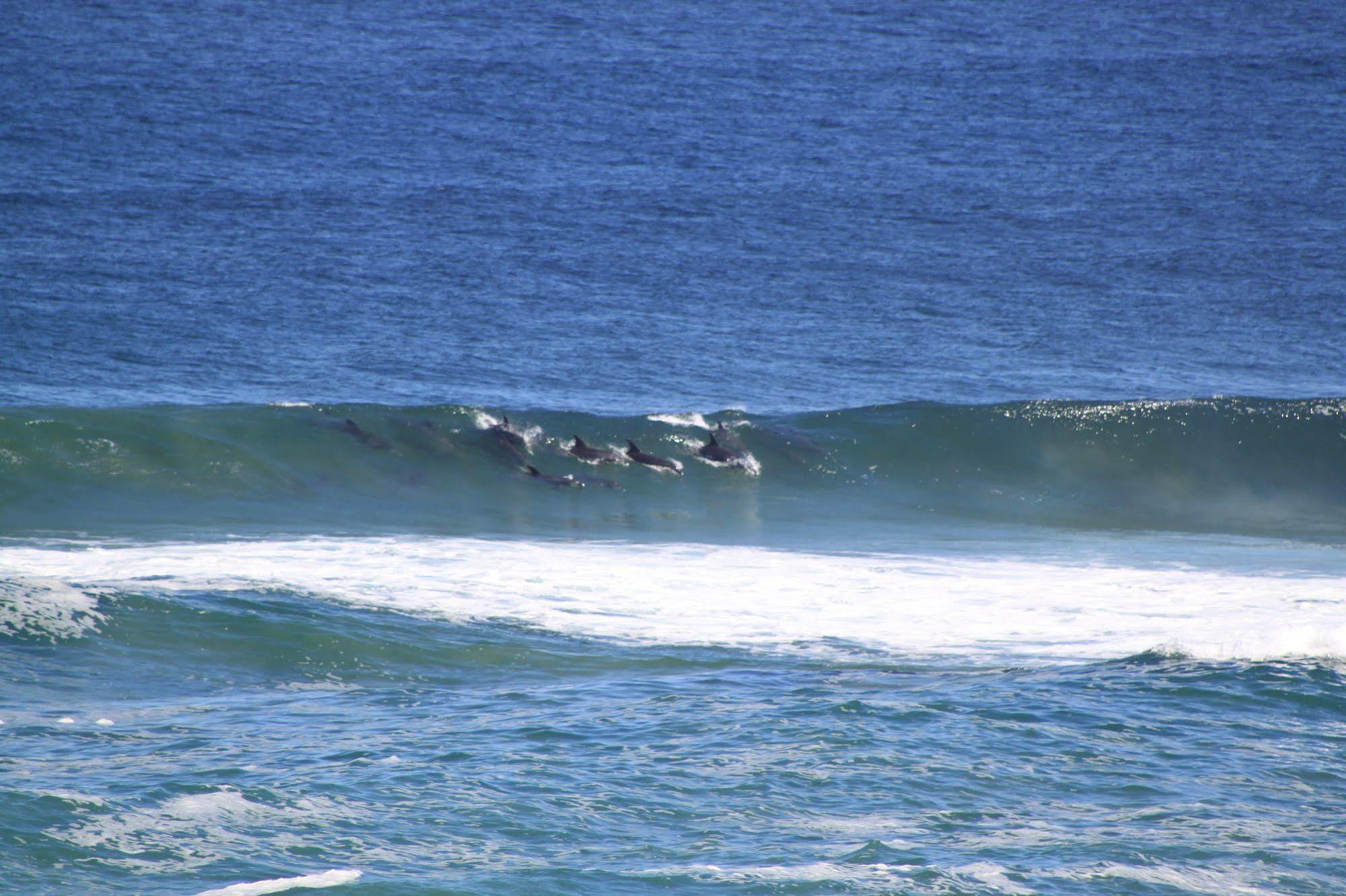 Murphys Port Elizabeth Esterno foto